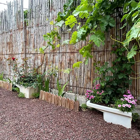 La Casa De Naranjos